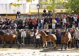 Feria ganadera en Agurain, el pasado mes de octubre.