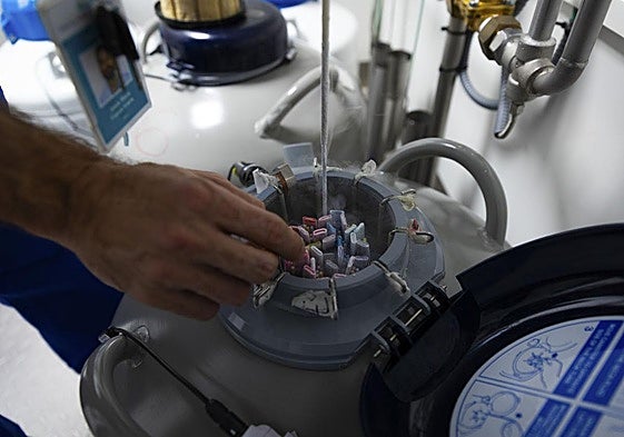 «Salud tardó casi tres años en aprobar y darme el tratamiento y luego me lo quitó por tener más de 40»