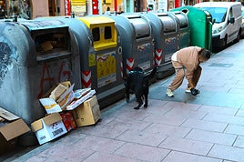 Desde no recoger las heces de perro a las infracciones por incumplimientos urbanísticos.