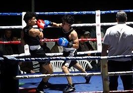 El polideportivo de Anduva acogió el evento.