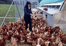 Las zonas para la guarda de animales no podrán superar las 2 UGM ni el centenar de animales.