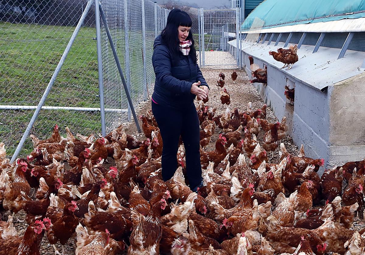 Las zonas para la guarda de animales no podrán superar las 2 UGM ni el centenar de animales.