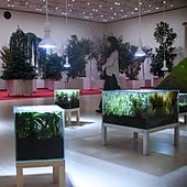 El Guggenheim florece por dentro ¡y huele! con las 'Artes de la Tierra'