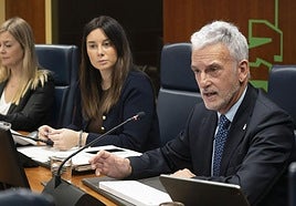 Iñaki Subijana, durante una comparecencia en el Parlamento vasco.