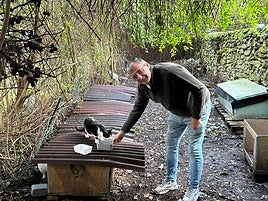 El durangués Pedro Carreto alimenta a un gato en la colonia felina.