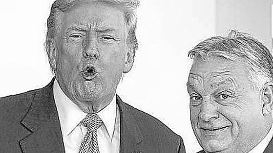 Contrarrevolución MAGA: una estrategia distópica