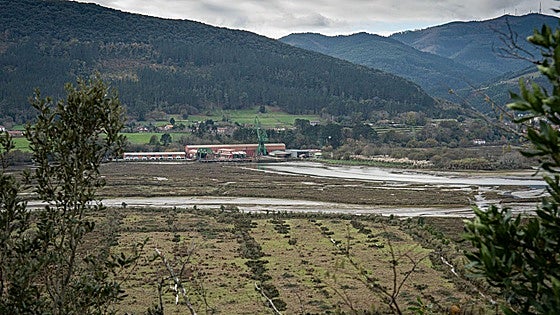 Etxanobe admite que ya «intuía» que llevar el Guggenheim a Urdaibai enfrentaba «obstáculos insalvables»