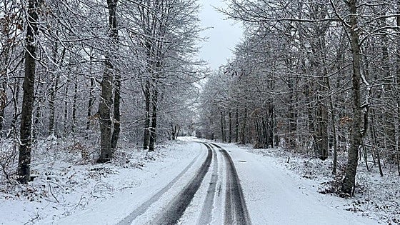 La nieve sorprende a Montaña Alavesa