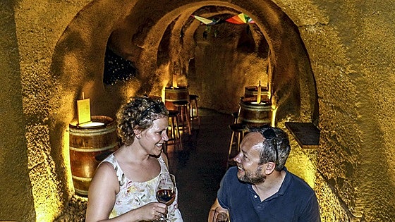 El Enobús de Rioja Alavesa programa cinco rutas para este año