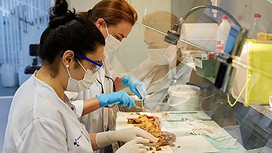 Más de 13.000 vascos padecen una enfermedad rara