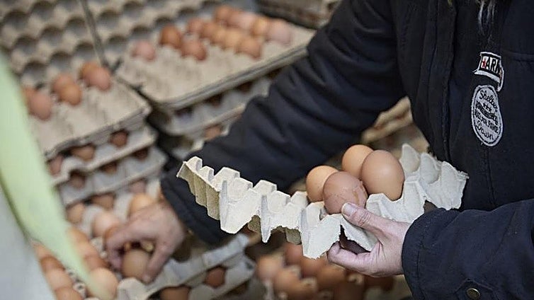¿Lavas los huevos antes de guardarlos? Esta práctica común puede afectar a tu salud