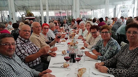 «Falta iluminación, sitios con sombra para sentarse y ascensores»