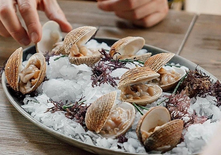 Los monstruos marinos de Marisol y Berto no descansan