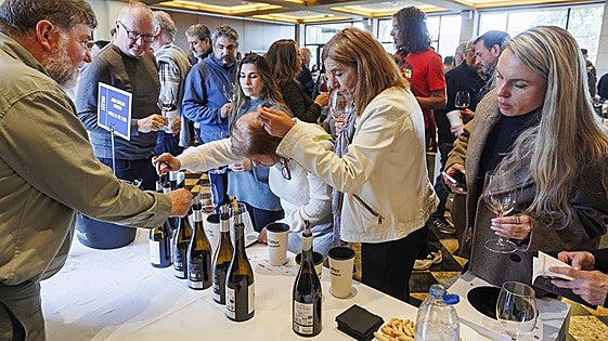 El Rioja, a escala humana