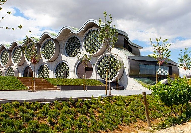 Cada vez a más gente le gusta amanecer entre viñedos