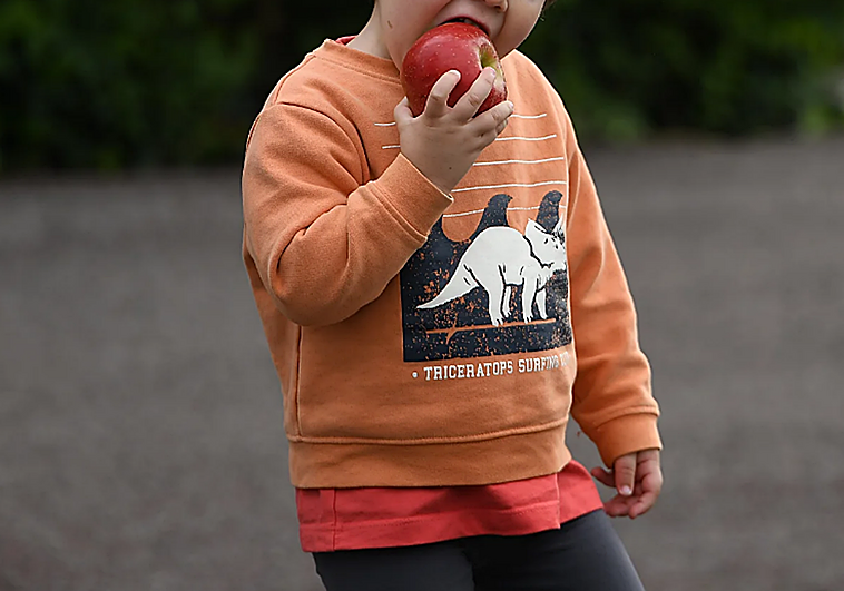 Euskadi tiene la tasa de riesgo de pobreza infantil más baja