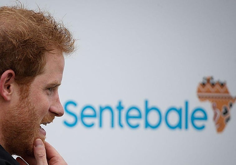 La organización benéfica que fundó el príncipe Harry en Sudáfrica le demanda por difamación