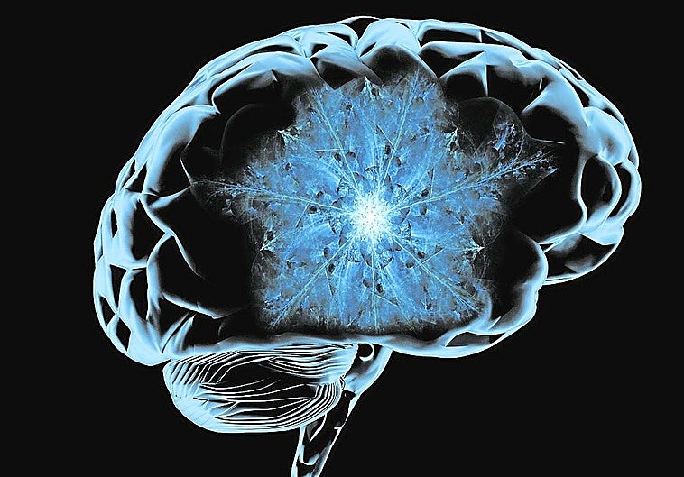 Un estudio advierte de que los últimos fármacos contra el alzhéimer «no tienen efectos significativos» y sí muchos riesgos