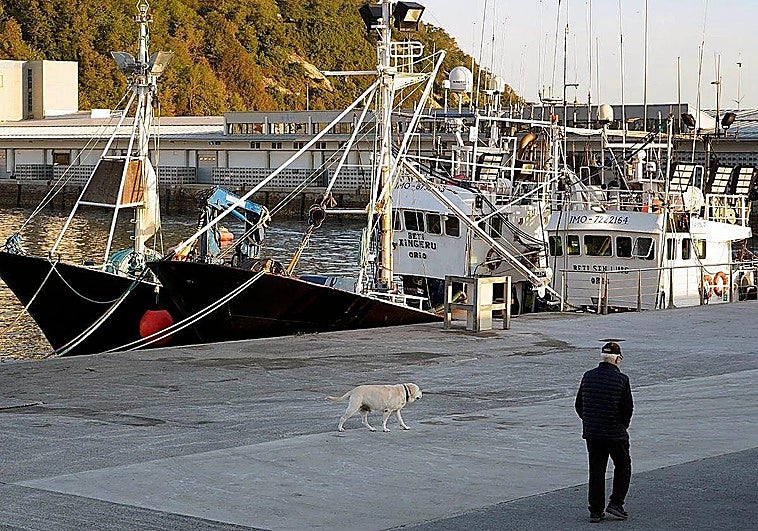 Retienen en Francia a un pesquero vasco con 6,4 toneladas de anchoas pescadas sin autorización
