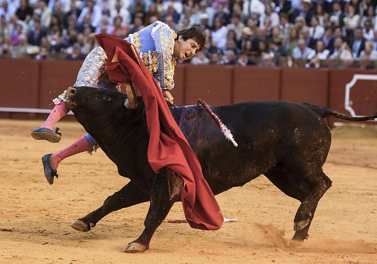Morante recibe el alta un día después de que Roca Rey fuera herido de ...