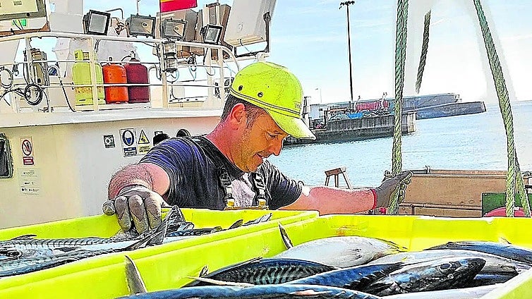 «Muchos barcos van camino de la quiebra»