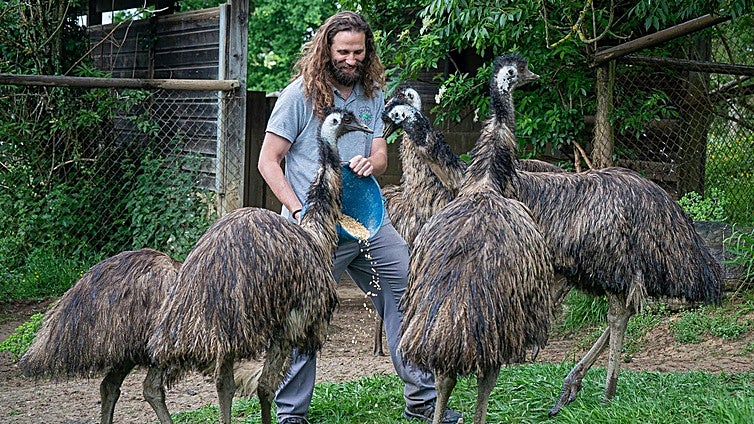 El santuario vizcaíno para la fauna que sobrevive al tráfico y al maltrato