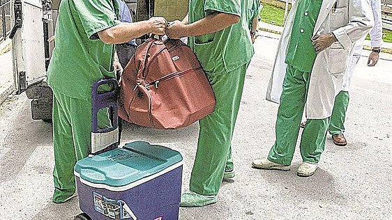 Increíble descuido en Loiu: «Den la vuelta al avión. Se han olvidado el órgano del trasplante en el aeropuerto»