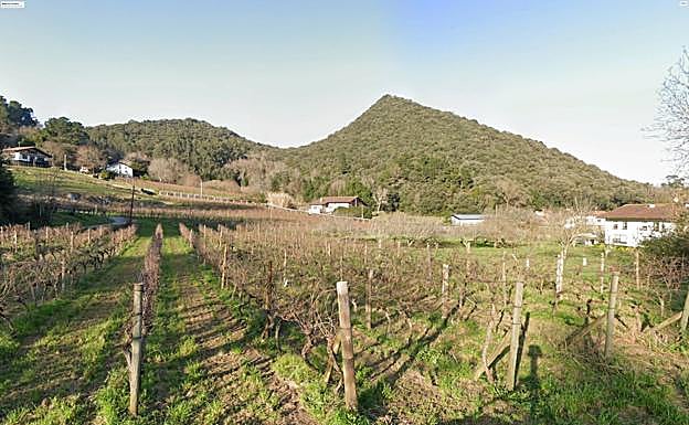 Por el barrio de San kristobal caminaremos entre viñedos.