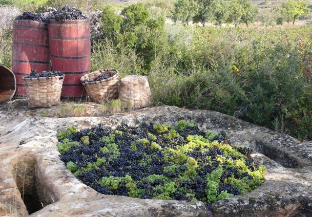 Uno de los lagares rupestres de Labastida, con su canal de salida al lago donde se recogía el mosto.