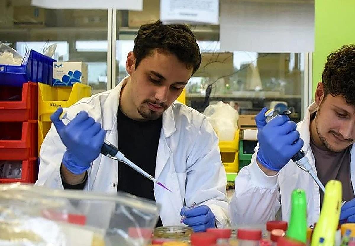 Euskadi invertirá 21 millones en ayudas a investigadores en 