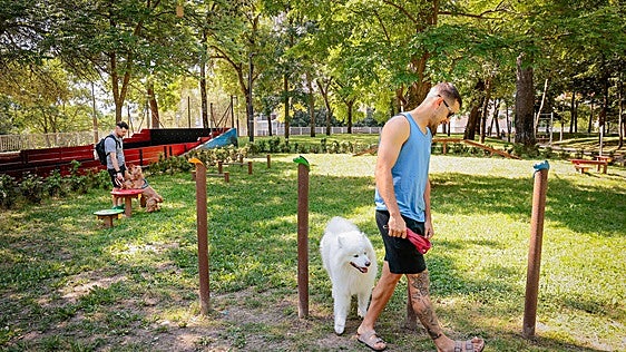 El parque de Judimendi estrena su primera zona para el entrenamiento canino y renueva la bolera