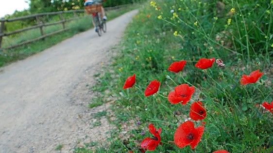Un paseo por la vía verde de 'El Bobadilla', la amante del río Oja