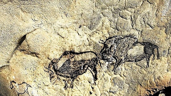 Los animales de las pinturas prehistóricas están organizados siguiendo un patrón