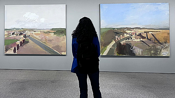 La exposición de la Colección Iberdrola en el Bellas Artes recibe 78.740 visitantes entre mayo y agosto