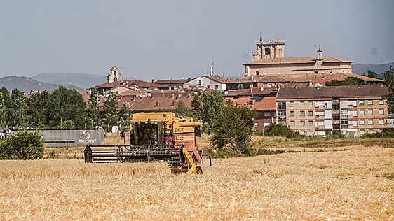 Arranca la cosecha más temprana de la historia en el campo alavés