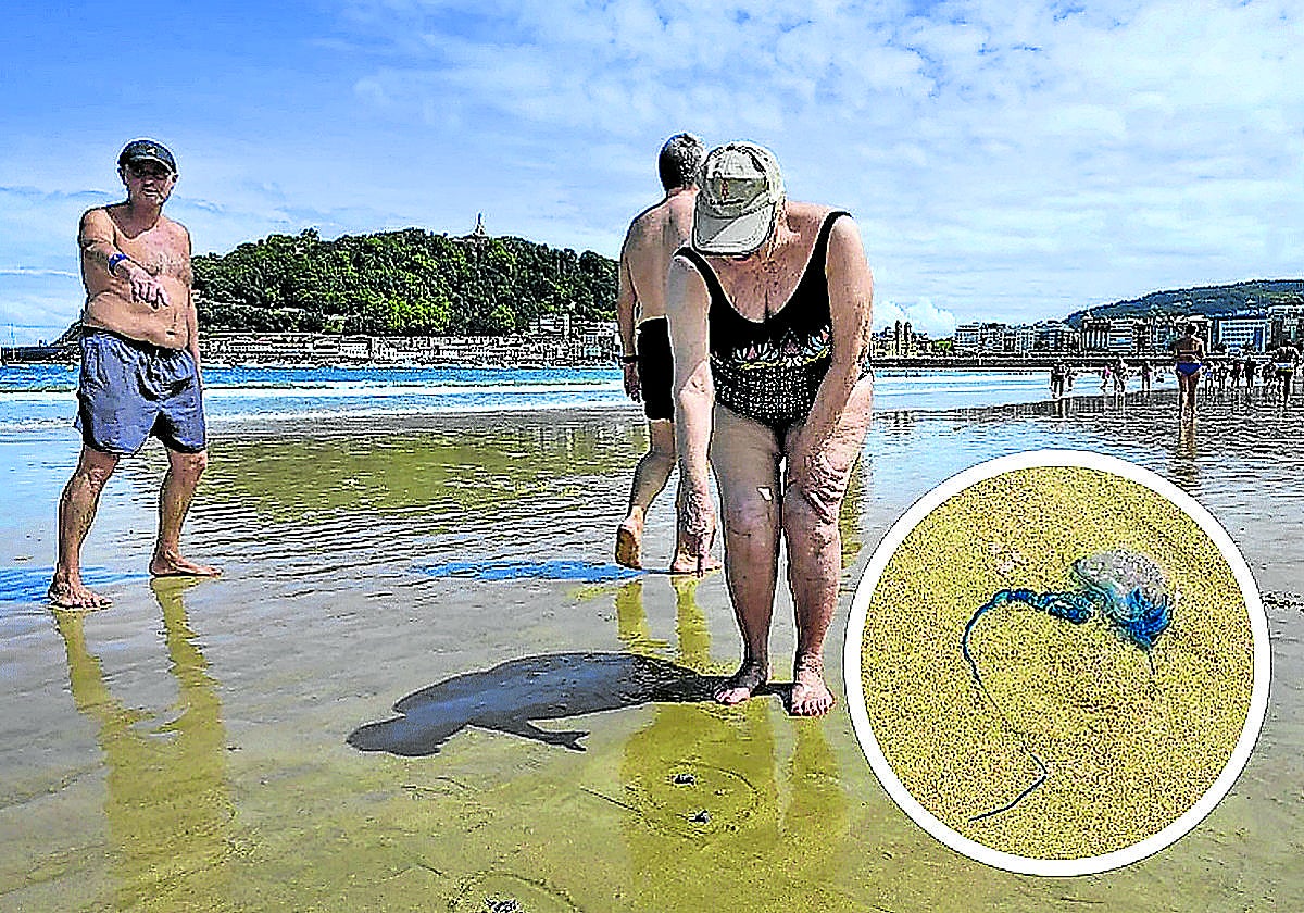 Las carabelas portuguesas amenazan las playas de Bizkaia