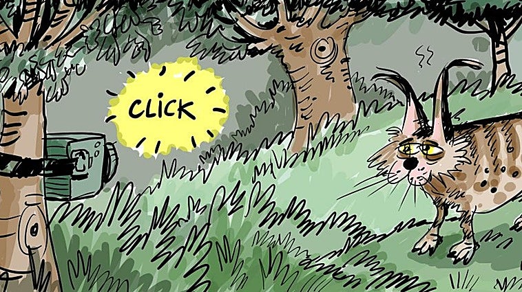 La viñeta de Cerrajería sobre la aparición del lince ibérico en Álava