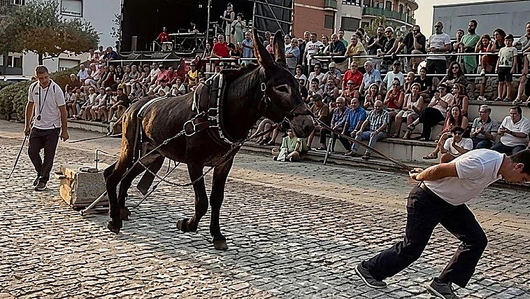 El Ayuntamiento de Leioa rechaza la iniciativa vecinal de eliminar las pruebas con burros