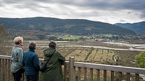 La Diputación certifica la renuncia definitiva al Guggenheim de Urdaibai