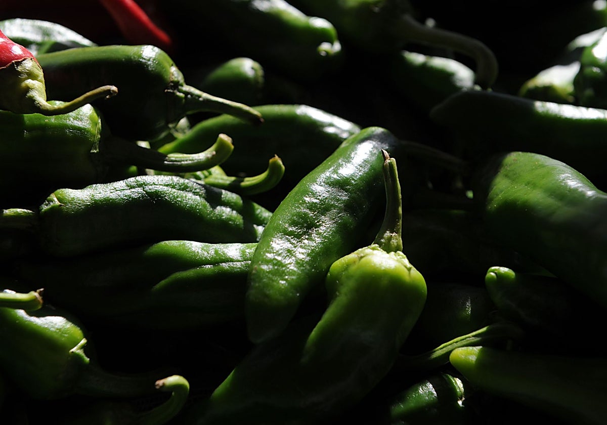 El pimiento de Gernika también podrá ser ecológico