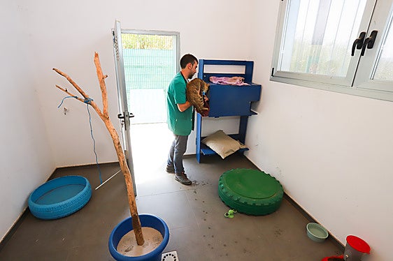 El repunte de la adopción de animales domésticos no frena el avance de los abandonos en Miranda