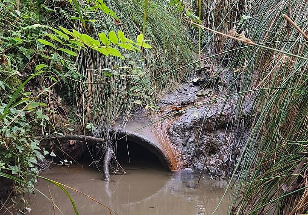 Denuncian vertidos en Maruri por las obras del cable submarino