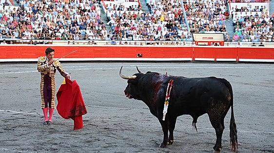 Condor alado