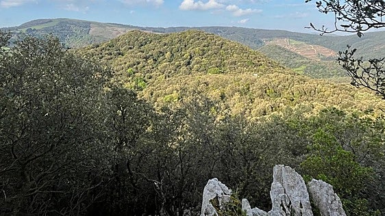 Se desata un incendio en el monte de Arza en el límite entre Zalla y el Valle de Mena