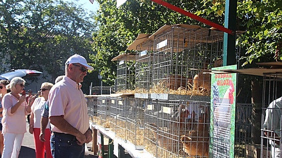 Mendata reunirá a una treintena de productores en su feria agrícola del domingo