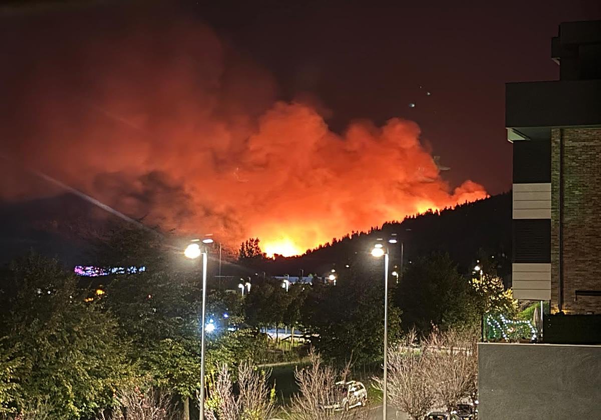 Extinguido el incendio en una zona boscosa de Derio cercana al aeropuerto