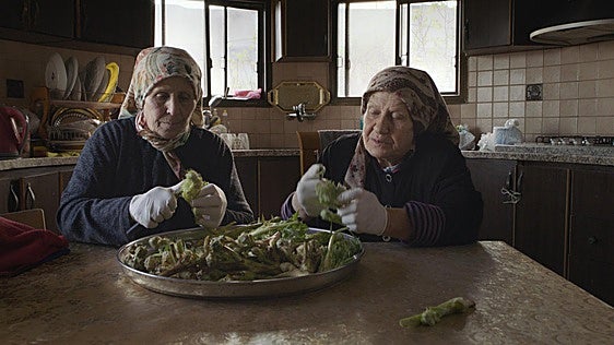 El museo Artium proyecta 'Foragers', documental sobre la recolección de plantas como resistencia en Palestina