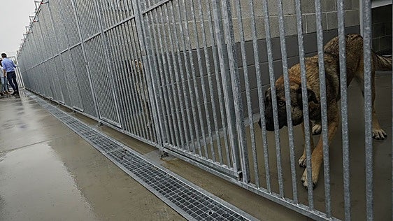 Vitoria castigará el maltrato animal con 100.000 euros