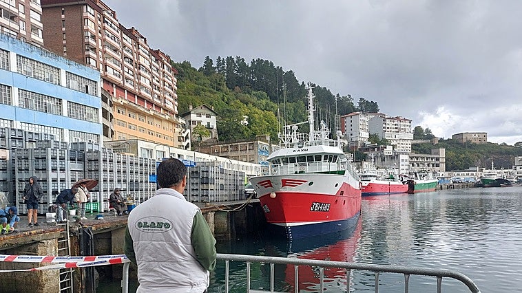 «Salir a la mar ahora no compensa»