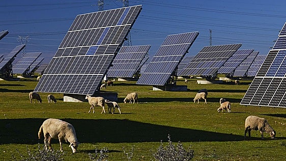 Una maderera alavesa instalará placas solares y baterías para descarbonizar su producción